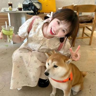 蔷薇处处香 在线观看